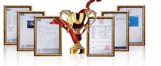 輸入用 振動式キャストスプリングクリップの固定器具 リサイクル可能なキャストクリップ C058